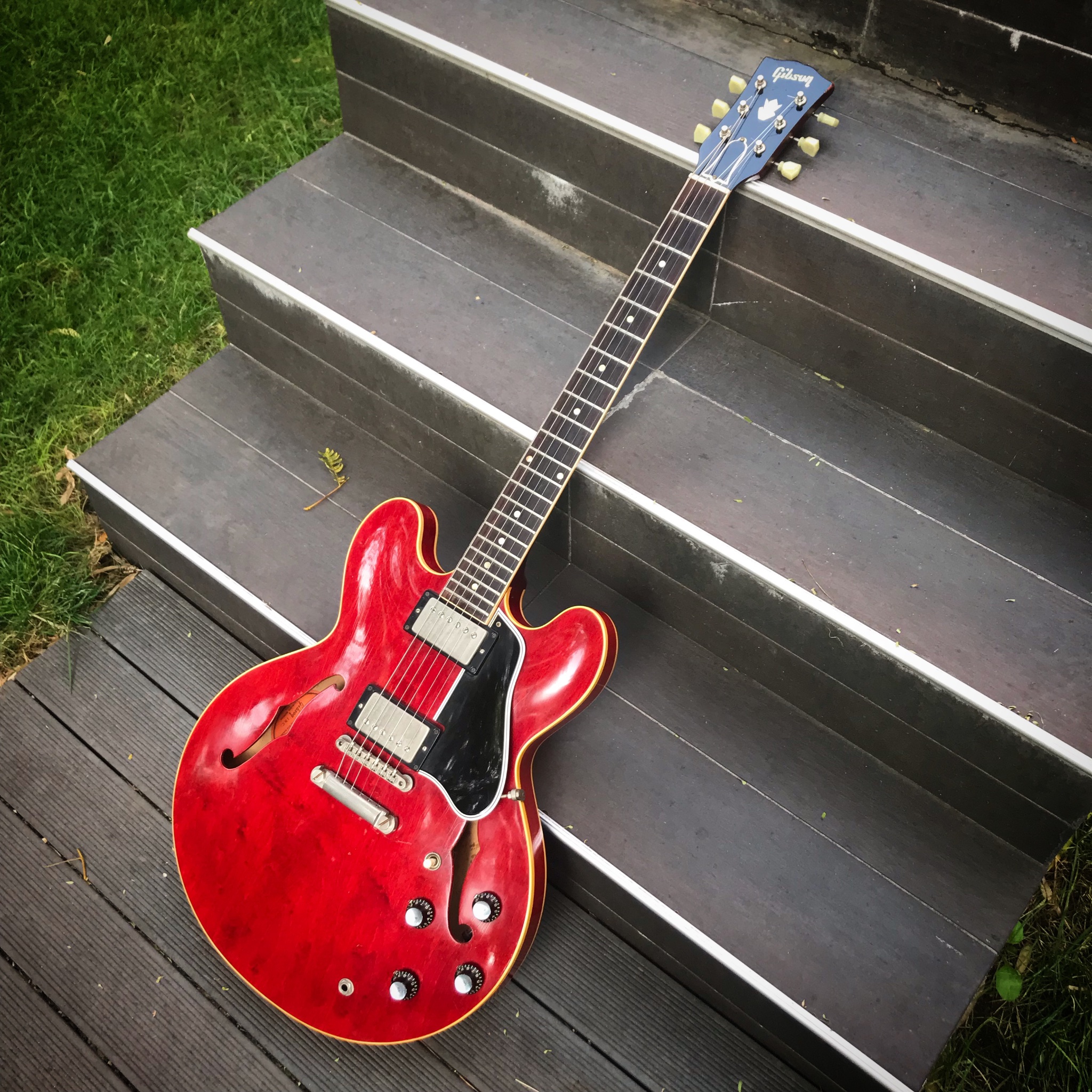 1962 ES-335 dot.JPG