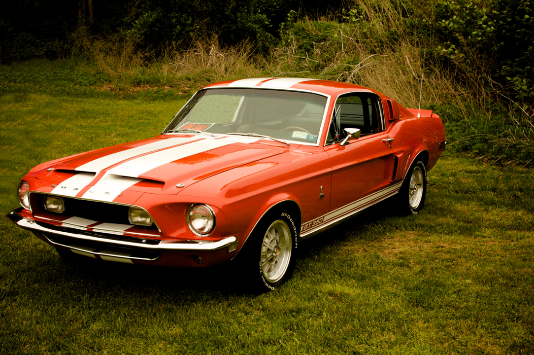 Shelby GT350 Mustang Fastback